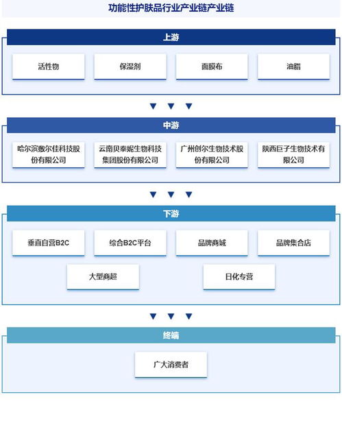 中國功能性護膚品行業(yè)分析 政策、市場集中度、競爭格局與發(fā)展趨勢預(yù)測