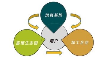 富硒食品連鎖新零售 互聯(lián)網(wǎng)分享經(jīng)濟(jì)思維驅(qū)動(dòng)產(chǎn)業(yè)變革