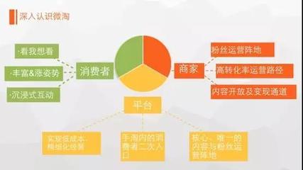 微淘運營全攻略 如何將公域流量轉化為私域增長新引擎？